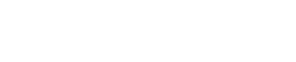 VP Margarita